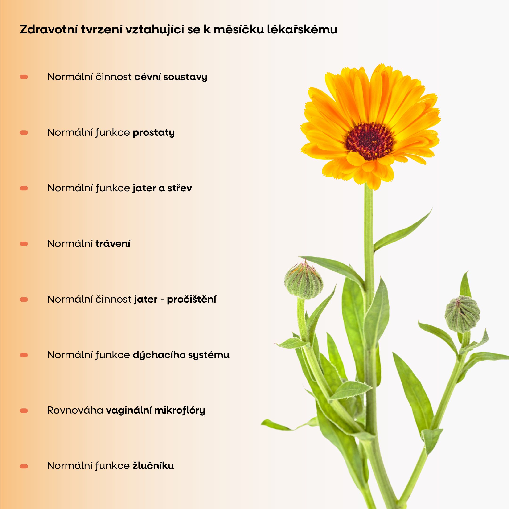 mesicek zdravotni